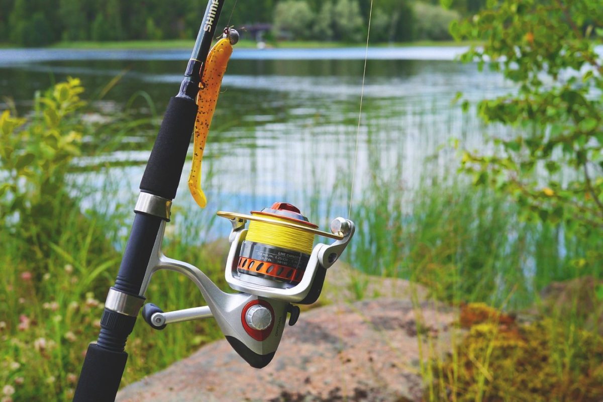Comparatif Abu Garcia vs Penn pour choisir un moulinet