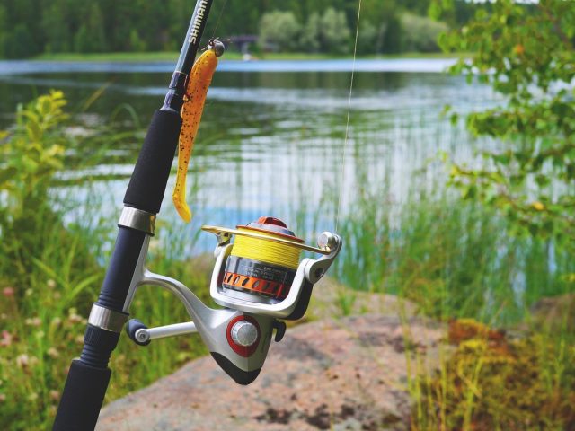 Comparatif Abu Garcia vs Penn pour choisir un moulinet