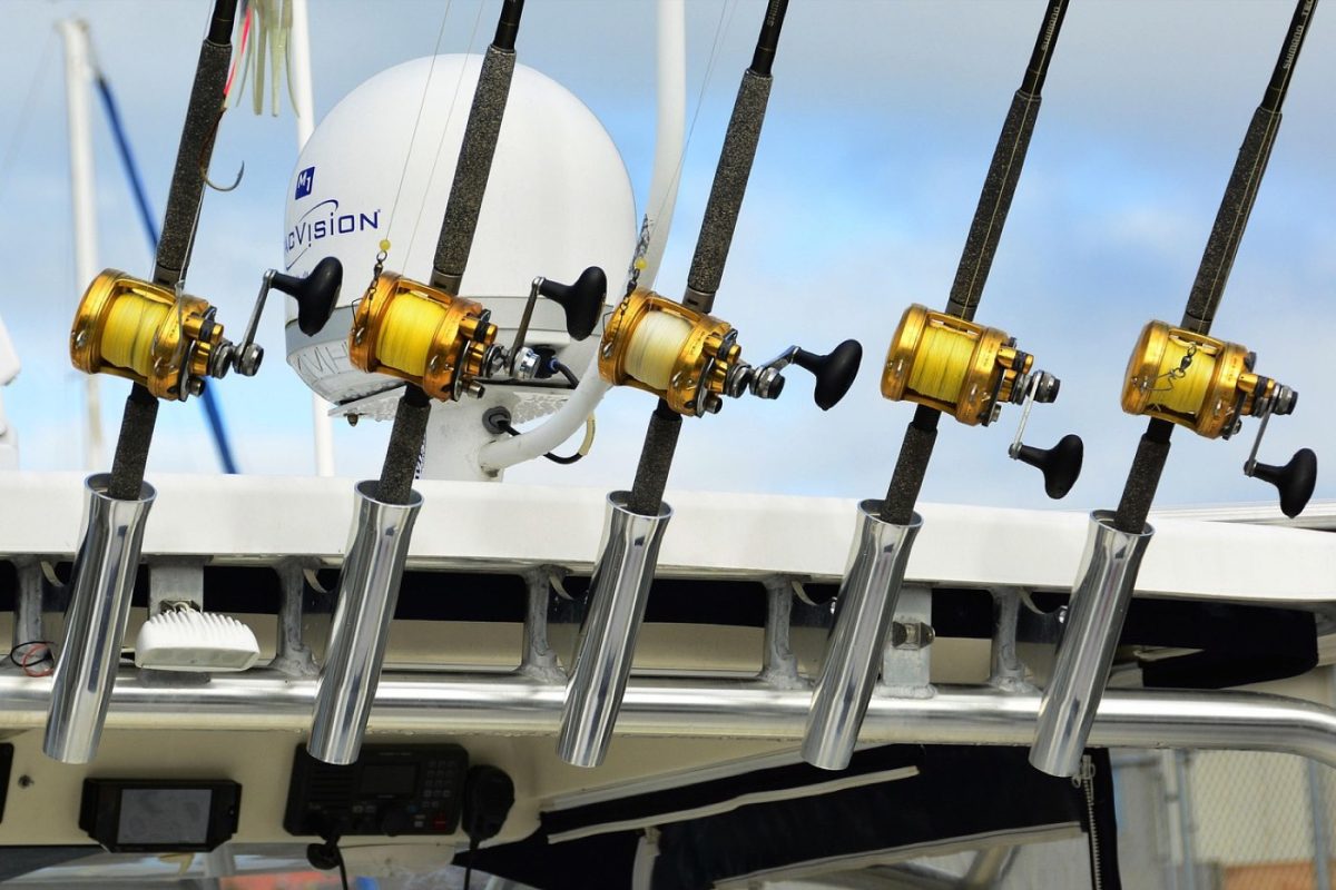Avis cannes Daiwa pour pêche au lancer