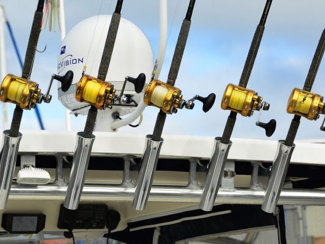 Avis cannes Daiwa pour pêche au lancer