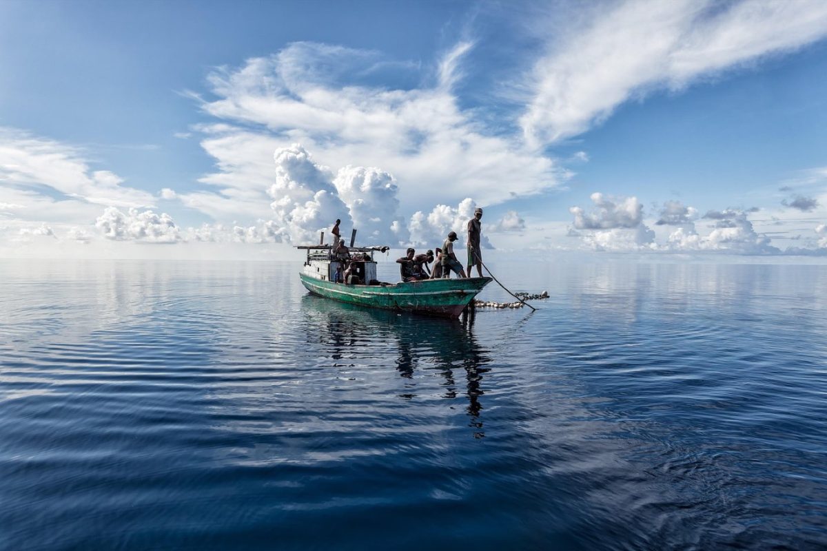 Comparatif cannes boatcasting pour pêche en mer
