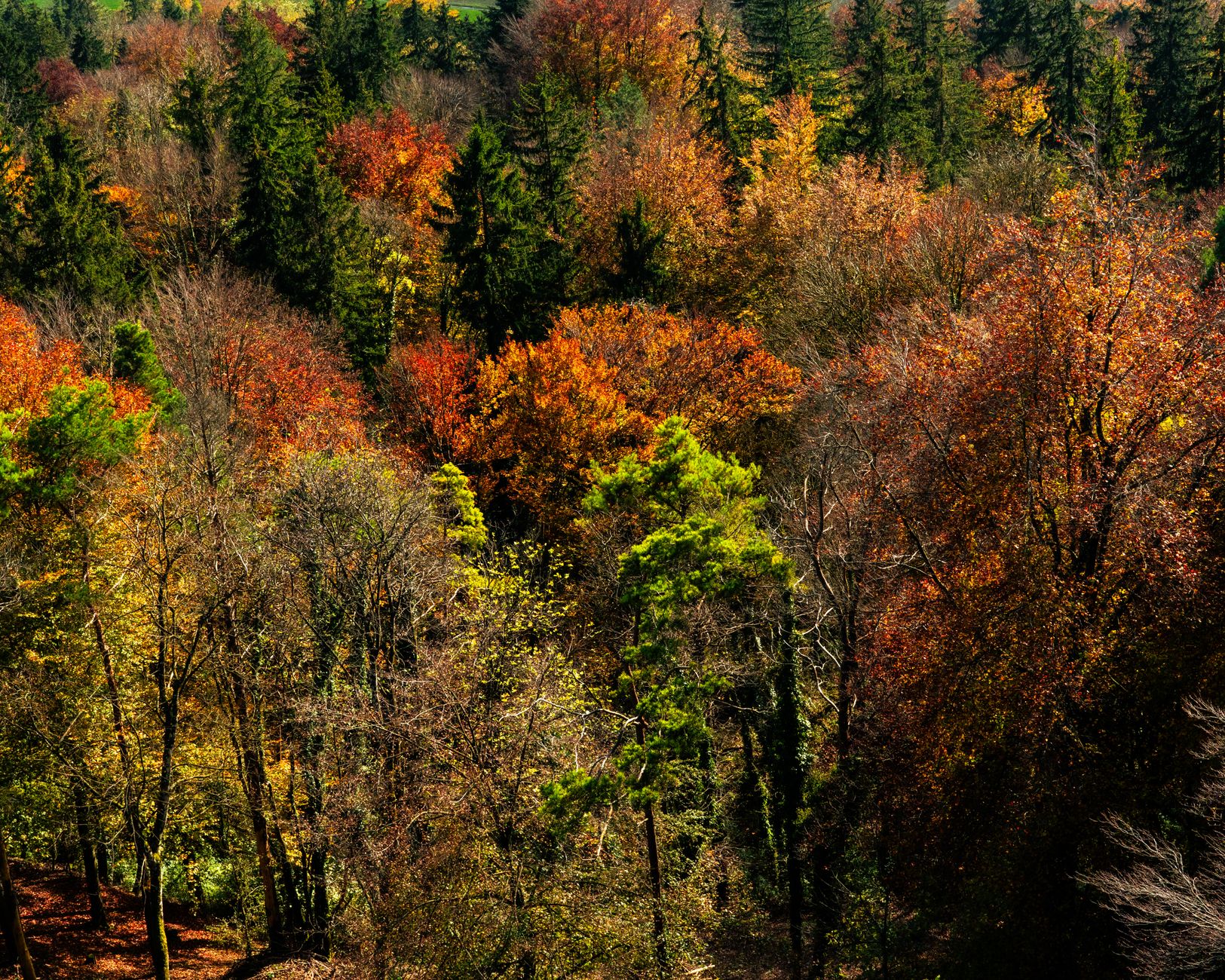 Pourquoi l'automne est la saison idéale pour pêcher le bar