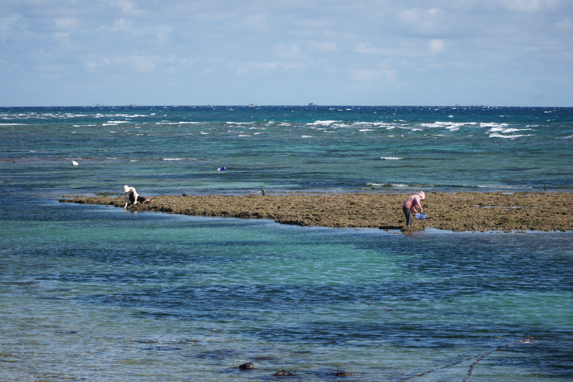 Agde : Pourquoi cette ville devient le nouveau paradis des pêcheurs ?
