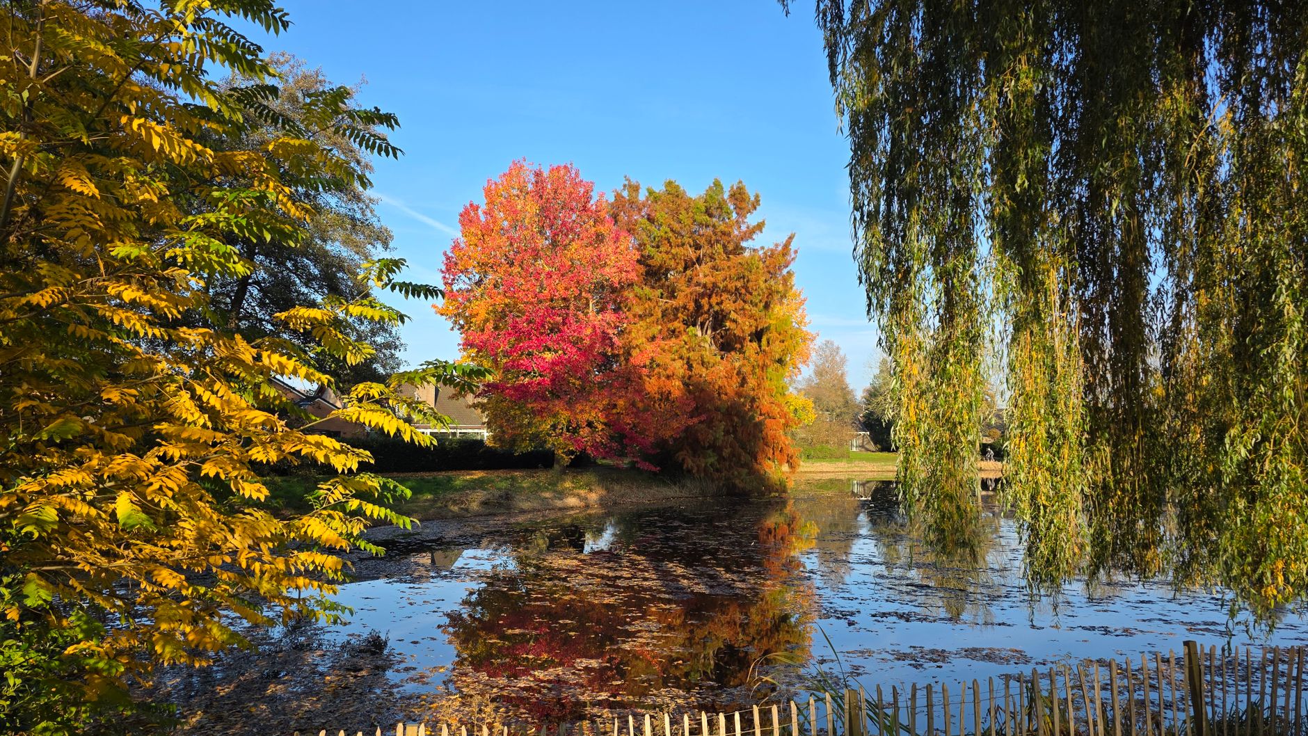 L'automne, la saison de tous les carnassiers en Lorraine : découvrez pourquoi !