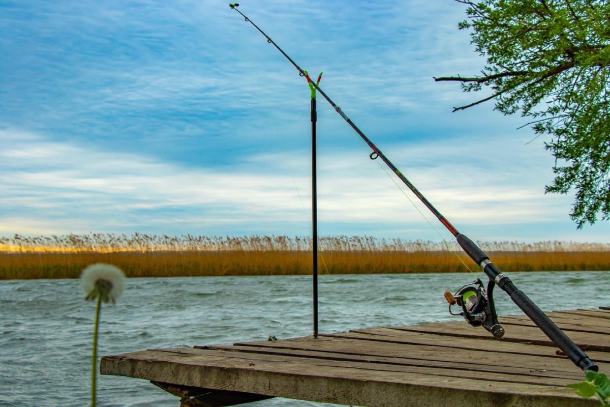 Daiwa ou Okuma : quel moulinet pour le surfcasting