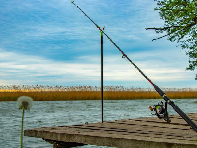 Daiwa ou Okuma : quel moulinet pour le surfcasting