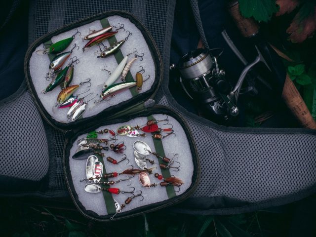 Tresse ou fluorocarbone pour la pêche au leurre