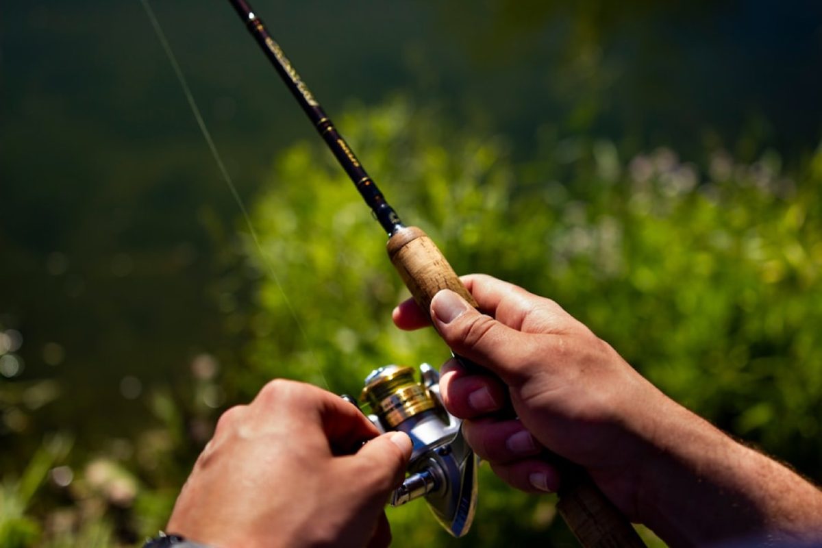 Classement pratique des leurres pour brochet et sandre