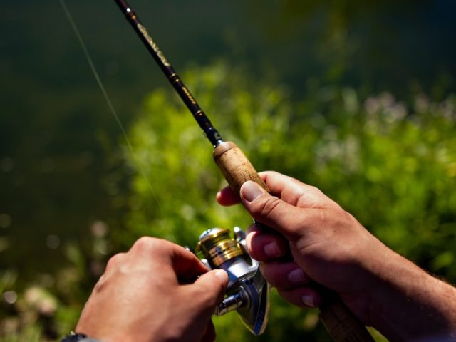 Classement pratique des leurres pour brochet et sandre