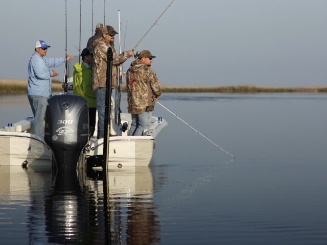 Meilleurs spots de pêche en eau douce en France