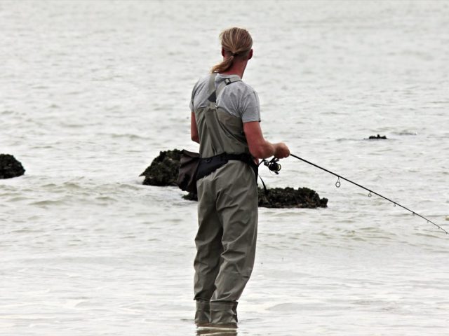 Avis et impressions moulinets Abu Garcia Revo SX