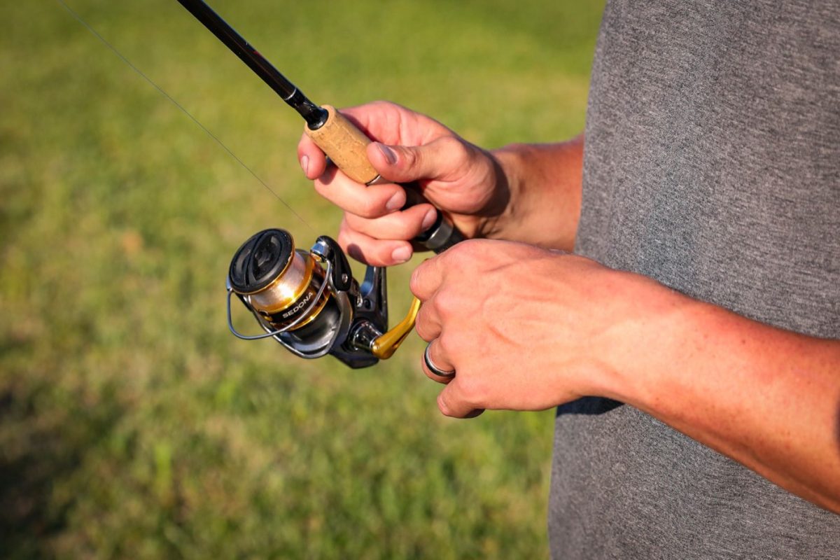 Retours utilisateurs moulinet Shimano Stradic