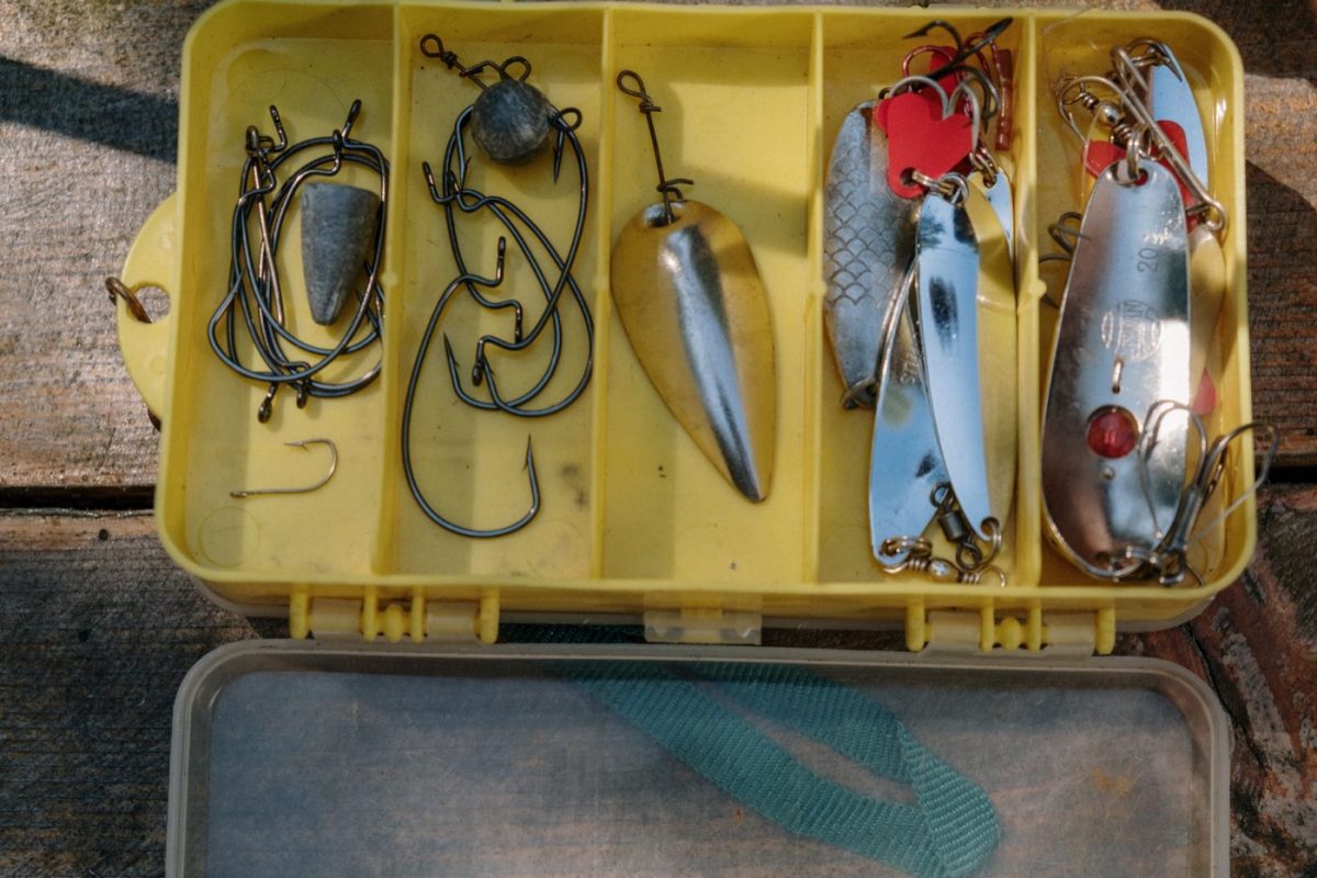 Mustad ou Gamakatsu : quel hameçon choisir selon l'usage