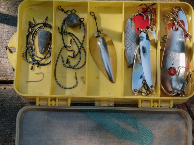 Mustad ou Gamakatsu : quel hameçon choisir selon l’usage