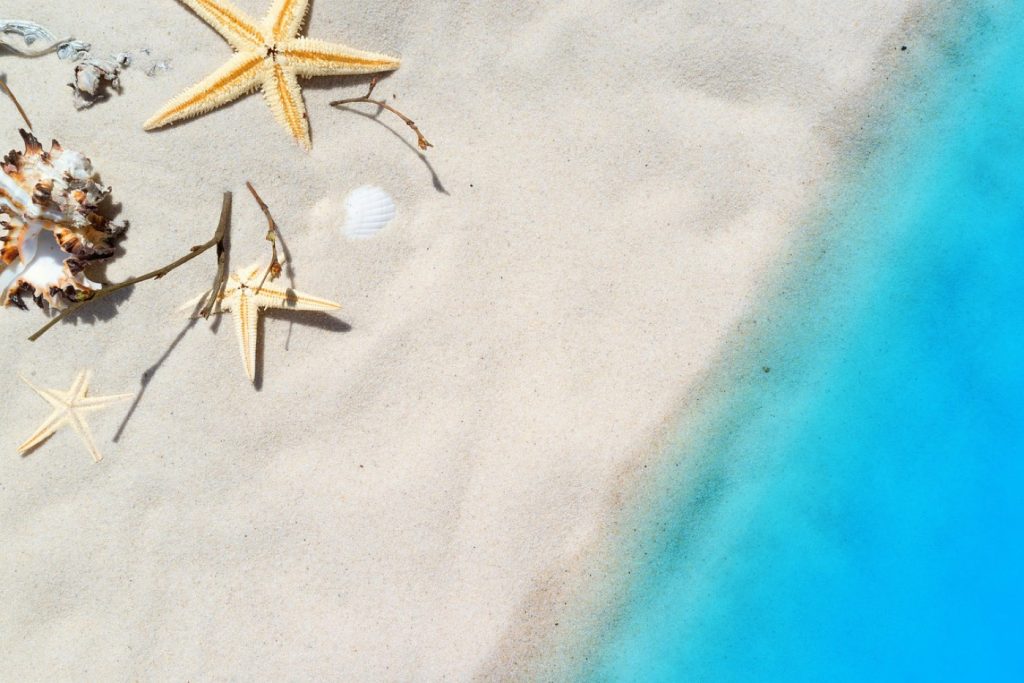 Que ramasser sur la plage pour la consommation personnelle