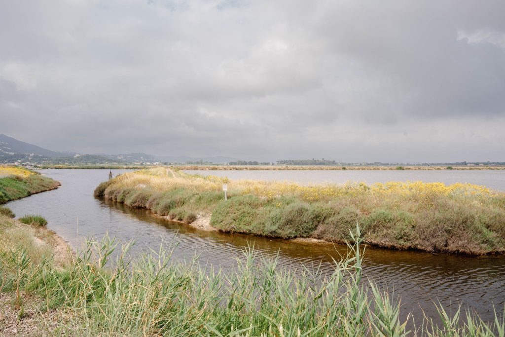 Itinéraire de promenade et pêche en zones humides