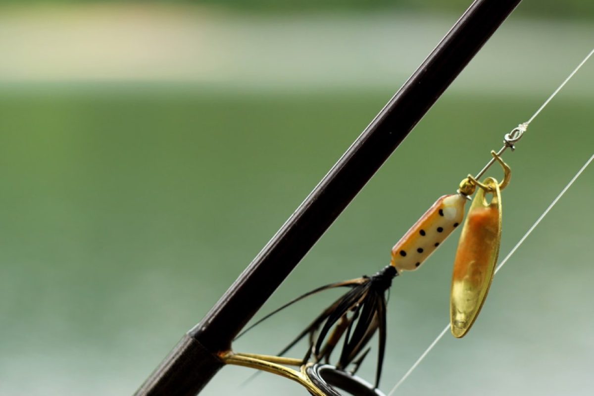 Rapala ou Savage Gear : quel leurre pour les carnassiers