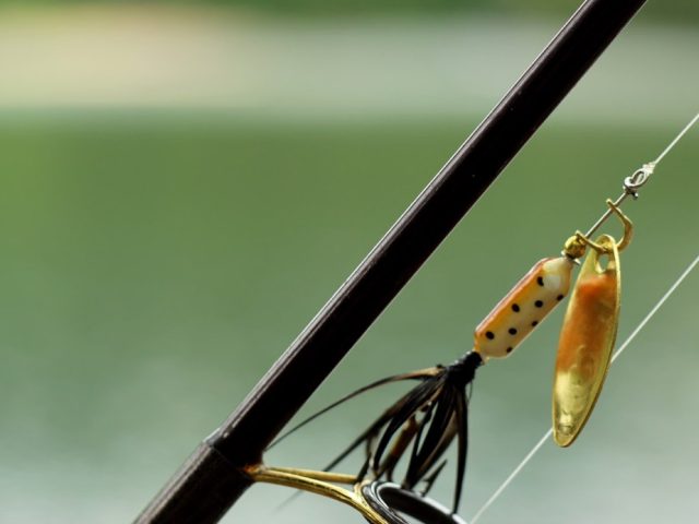 Rapala ou Savage Gear : quel leurre pour les carnassiers