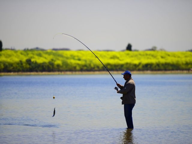 Découvrez les nouveaux spots de pêche dans le Tarn