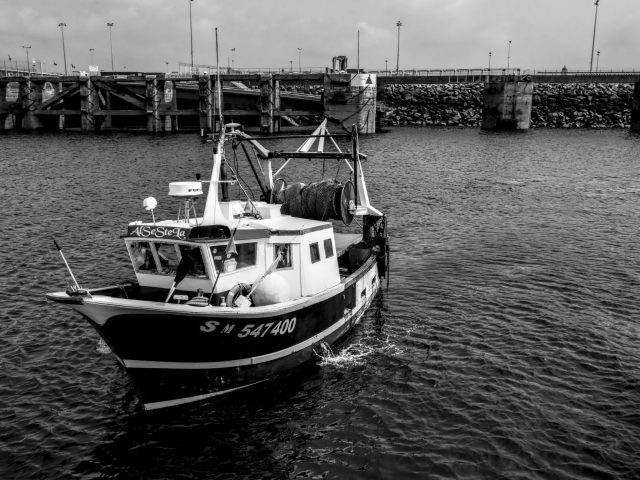 Bretagne : Comment cette région devient un paradis pour les pêcheurs ?
