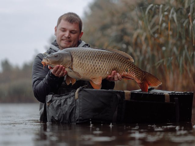 L’Automne Approche : Comment Maximiser Votre Pêche à la Carpe ?