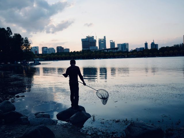 Pourquoi l’automne est la saison idéale pour pêcher le bar