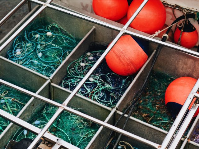 Quel sondeur choisir pour optimiser votre pêche en mer ?
