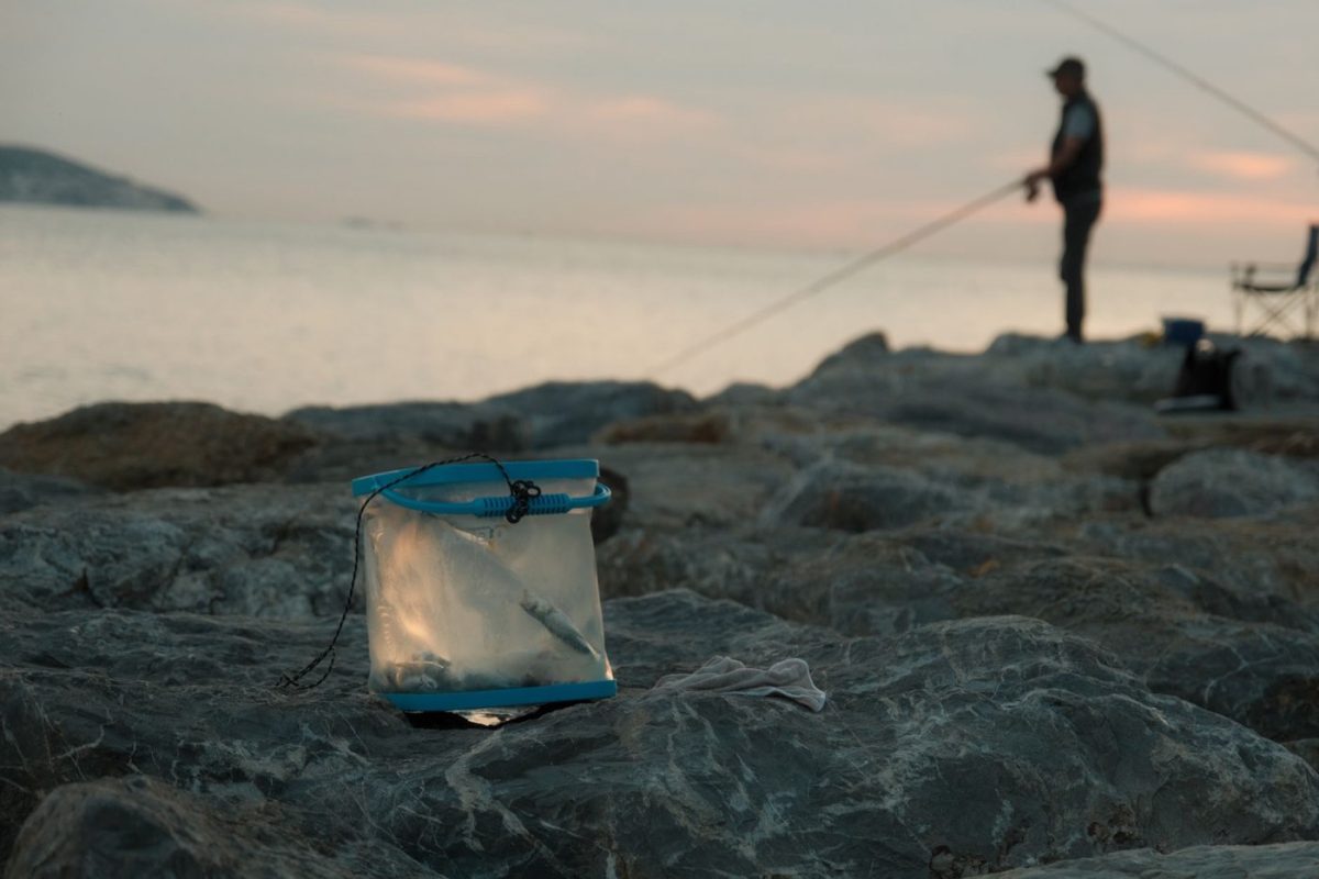 Guide pratique pour organiser un séjour pêche en bord de mer