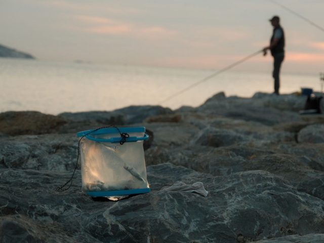 Guide pratique pour organiser un séjour pêche en bord de mer