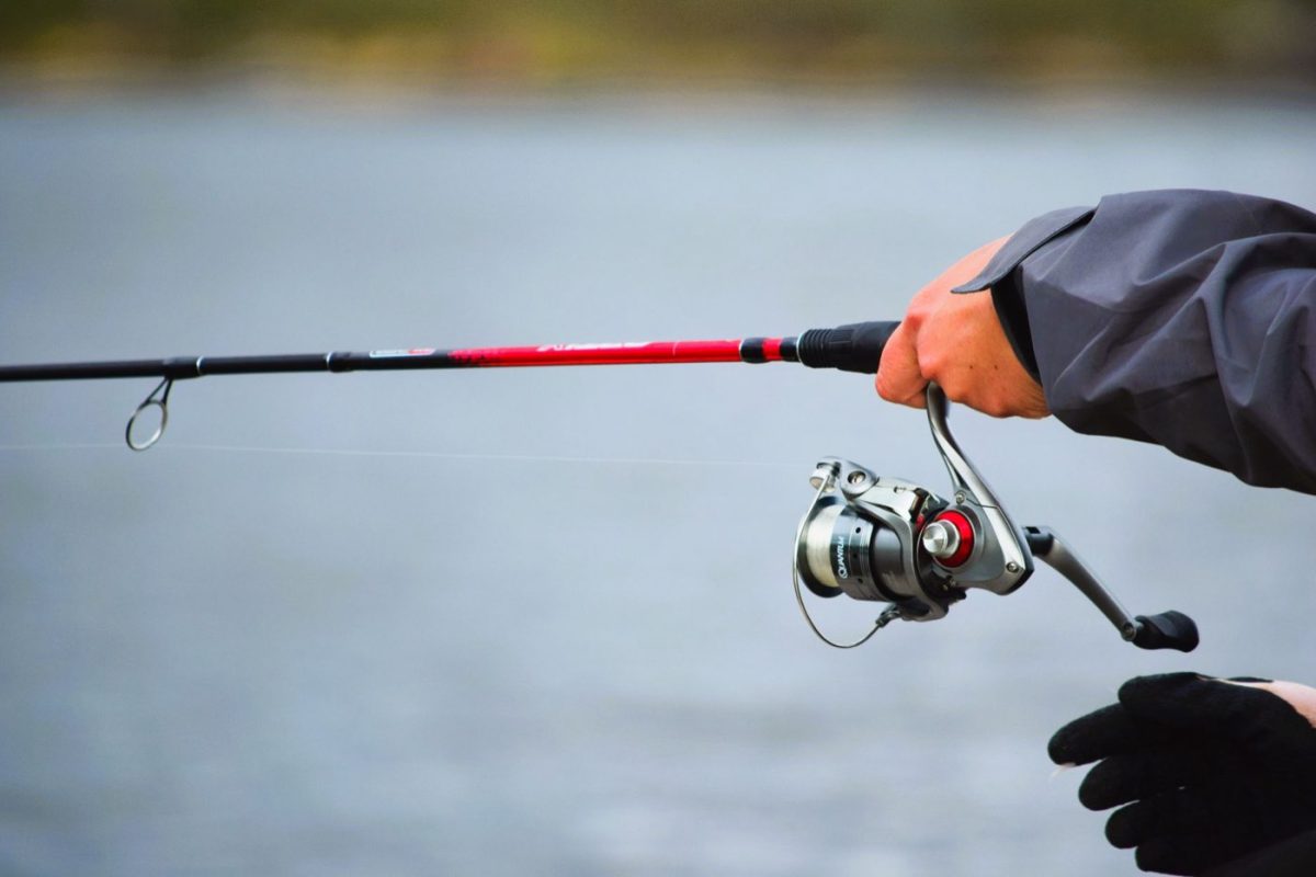 Shimano ou Daiwa : quel moulinet choisir selon l'usage