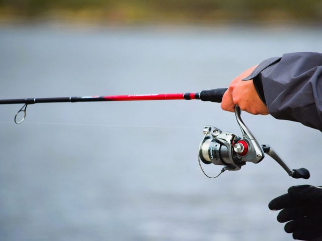 Shimano ou Daiwa : quel moulinet choisir selon l’usage