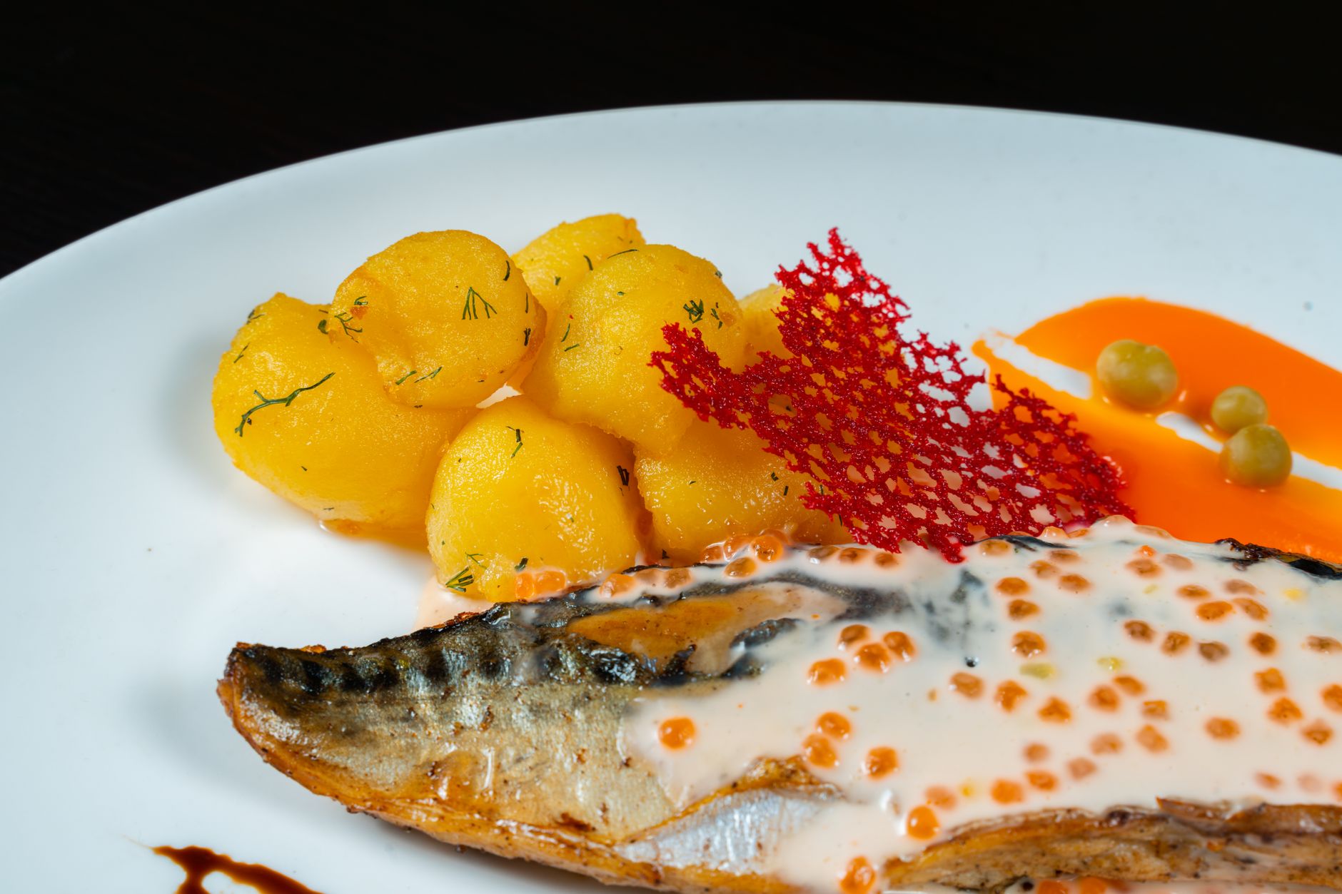 Recettes simples pour poisson fraîchement pêché