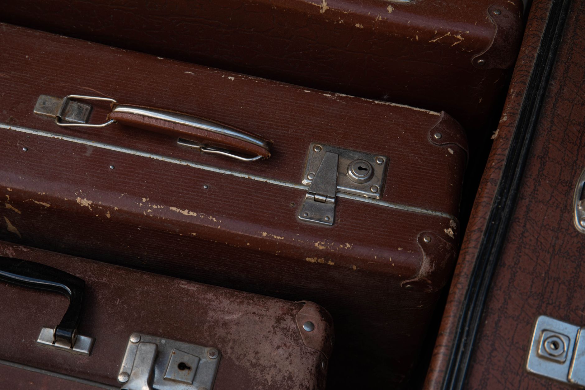 Shimano ou Daiwa : quel moulinet choisir selon l'usage